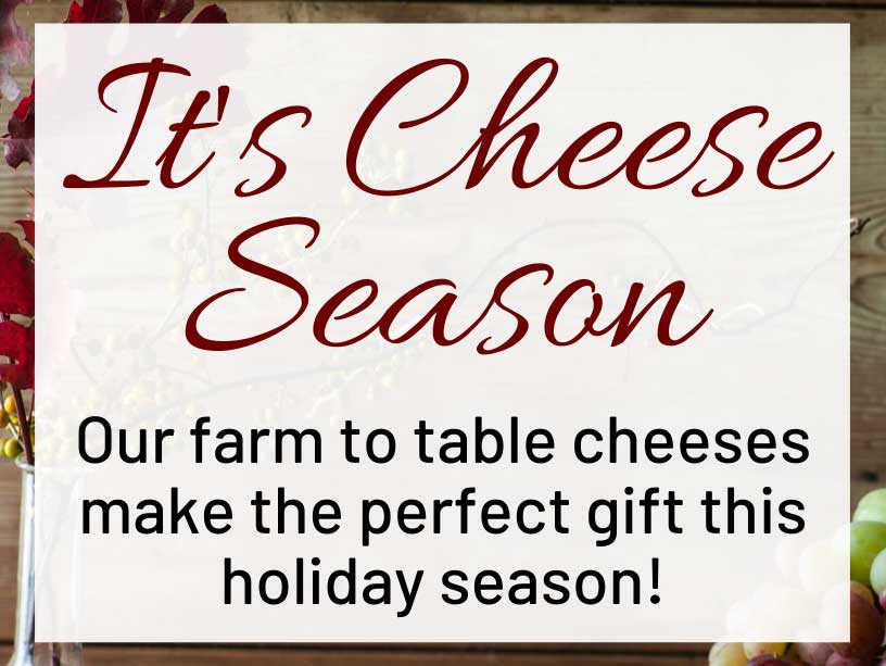 Give The Gift Of Cheese