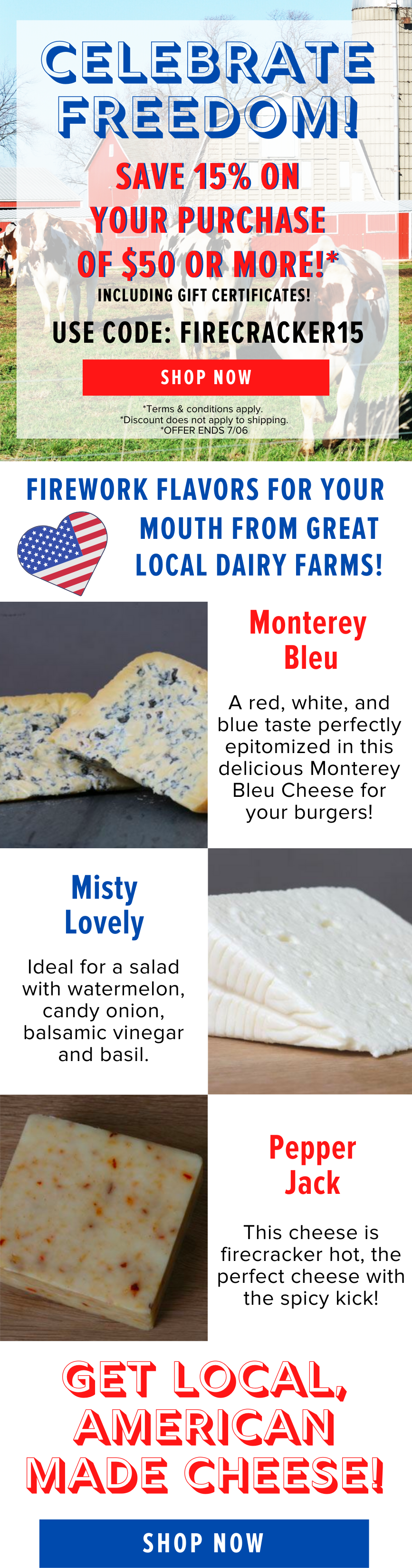 Make Your 4th of July CHEESY! 13